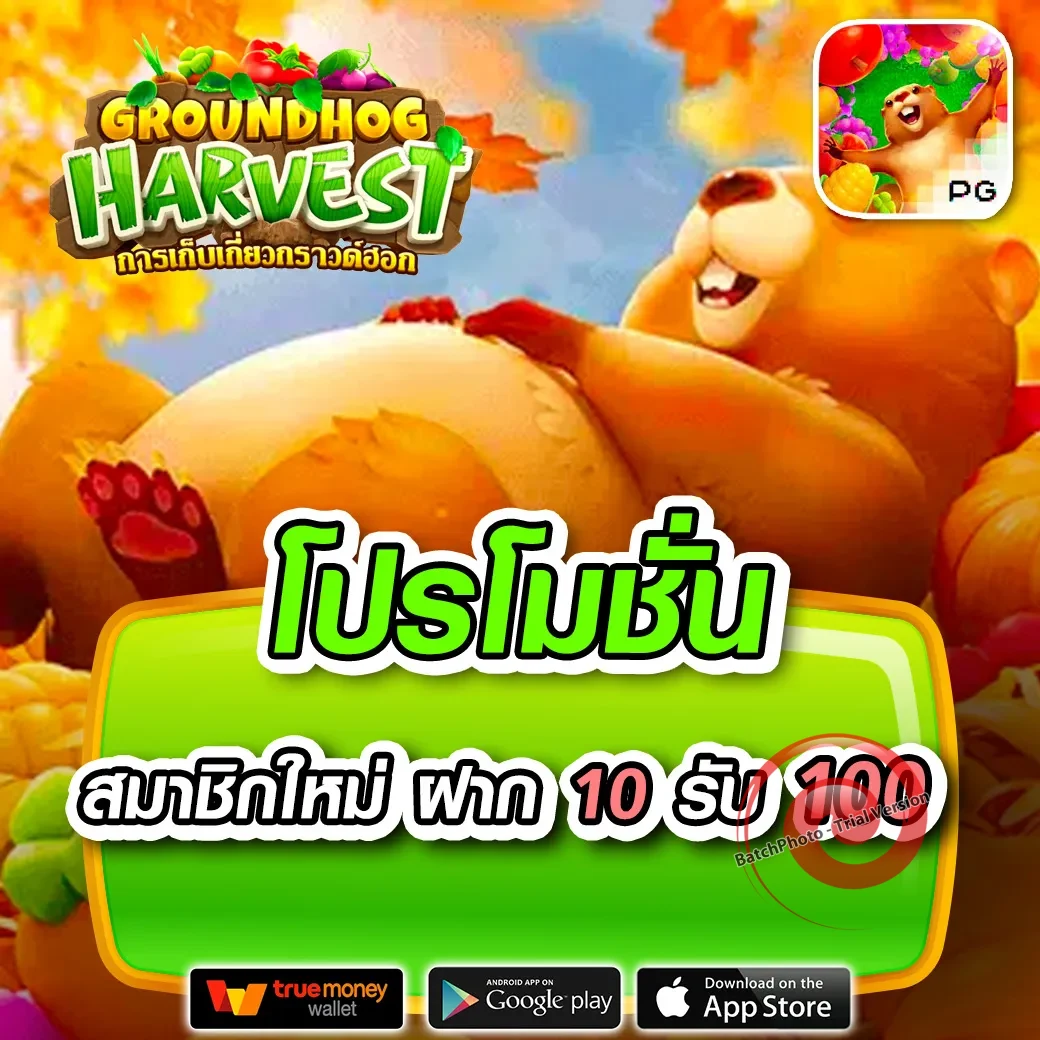 789km เข้าสู่ระบบ